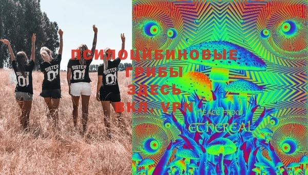 гидра Бородино
