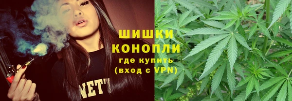 твердый Богданович