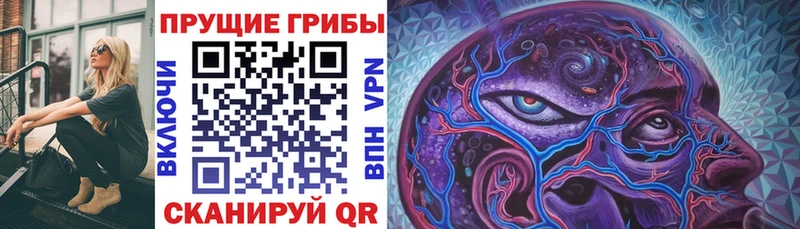 Псилоцибиновые грибы Psilocybine cubensis  даркнет сайт  Горячий Ключ 