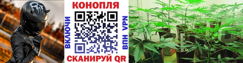 Конопля AK-47  Горячий Ключ 